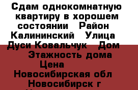 Сдам однокомнатную квартиру в хорошем состоянии › Район ­ Калининский › Улица ­ Дуси Ковальчук › Дом ­ 414 › Этажность дома ­ 12 › Цена ­ 14 000 - Новосибирская обл., Новосибирск г. Недвижимость » Квартиры аренда   . Новосибирская обл.,Новосибирск г.